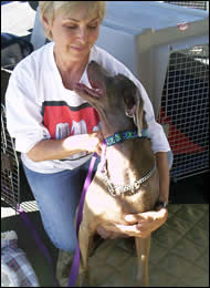 Diane Monahan - Founder & Executive Director