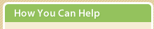 How You Can Help